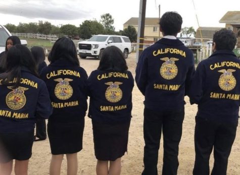 FFA Competitions-What is it all about?