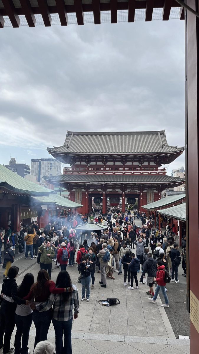 Visiting the Asakusa Kannon Temple, praying and receiving fortunes. 