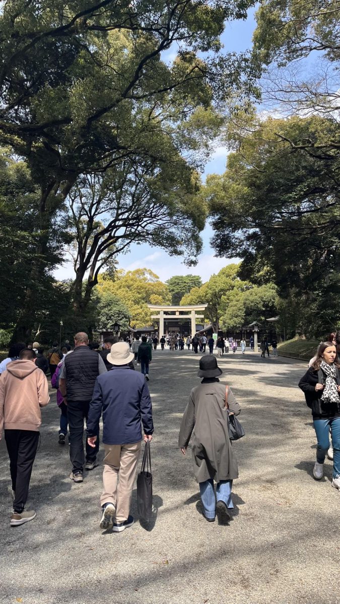 Visiting the Meiji Shinto Shrine, peaceful and green. 